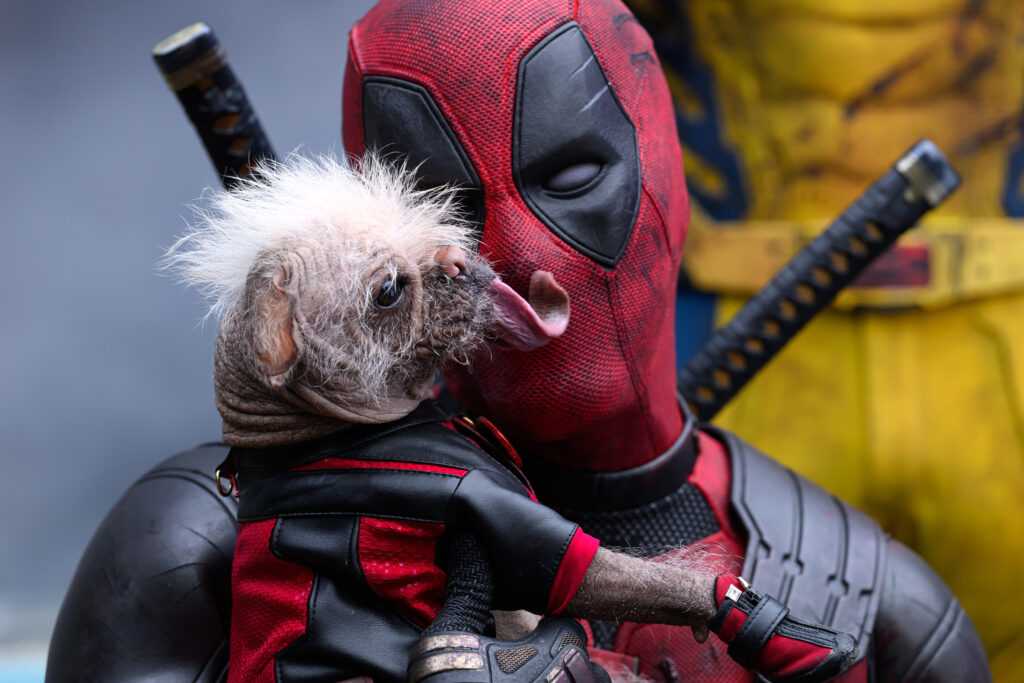 Deadpool e Wolverine